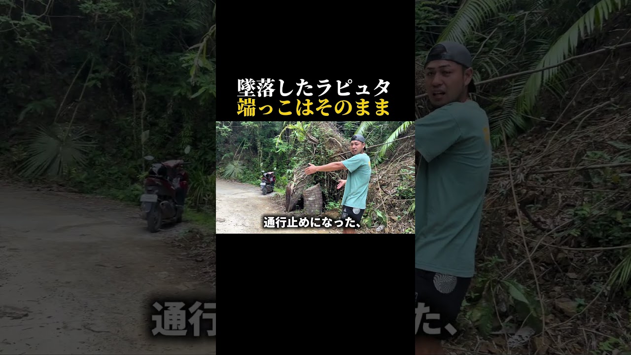 真ん中だけ切って、あとは自然に任せるスタイル。　#youtubeshorts