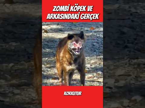 Aman allahım #merak #tuhaf #ilginç