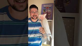 After 30 Days of Training a Major Mitchell's Cockatoo