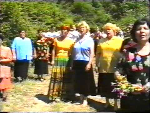 grupa,,JANA'' VINICA RAZVIVAJ GORO ZELENA