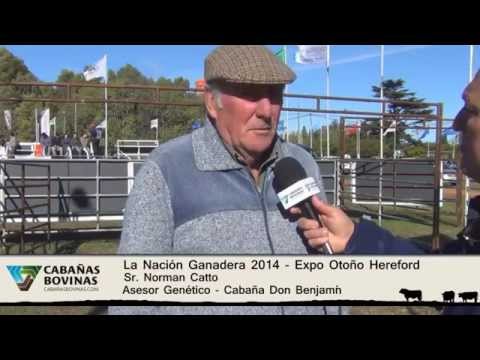 Cabañasbovinas.com - La Nación Ganadera - Norman Catto