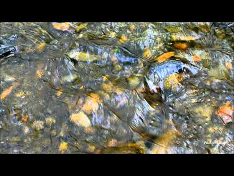 Music to Help Study and Work/Murmur of the river/Nature Sounds