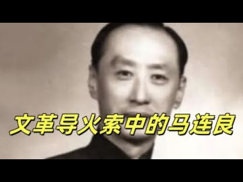 文化大革命1，文革的导火索，海瑞罢官涉及到的几个“小人物”，京剧表演艺术家马连良生平，给满洲国唱过戏，和周总理聊过天。一位回流大师的悲惨结局。#毛泽东 #周恩来 #溥仪 #中国政治 #梅兰芳 #杜月笙