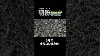 YouTubeの動画サムネイル