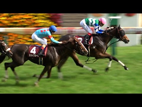 【メイケイエール】2022 京王杯スプリングカップ ウィニングラン～口取り 現地映像 クセ強対決