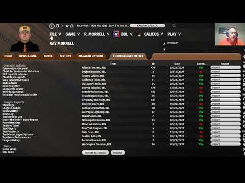 Bull Baseball League: Spring Training 2027!!!