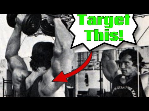 Arnold Press: Delightfully Delicious Deltoid Destroyer