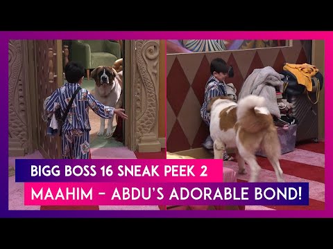 Bigg Boss 16 Sneak Peek 2 | Dec 27 2022: New dog Maahim Enters The House