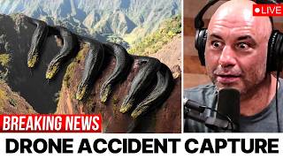 Drone's Camera Caught Something Incredible