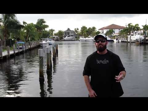 Spag Heddy ft. PsoGnar - Never Say Die Vol. 5 (Out Now)