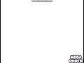 Nelvana Logo Effects Low Voice 2 0