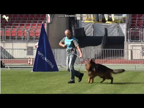 1031 Promo vom Osterberger Land - TSB BSZS-2023