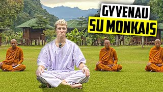 4 DIENAS GYVENAU SU MONKAIS KALNUOSE 🇹🇭