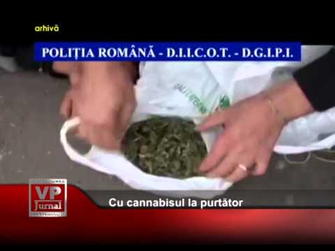 Cu cannabisul la purtator