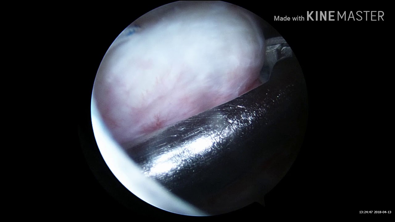 Edgar A. Pulido J.-10