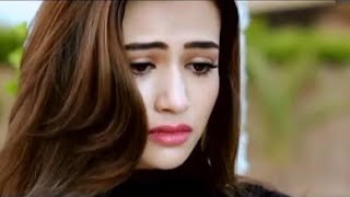 Ek Pal Main Tumko Main Bhula Dunga Full Song - YouTube