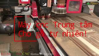 Máy cnc trung tâm chuyên cho gỗ tự nhiên của Woodmaster WM-1325RBS