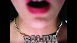 Saliva Greater Than Less Than Album (Saliva and Every Six Seconds)