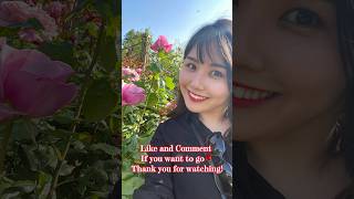 12000本の無料バラ園！お散歩におすすめ #workingholiday #yms2022 #london#londonlife#regentspark #イギリスワーホリ#ロンドン#ロンドン観光