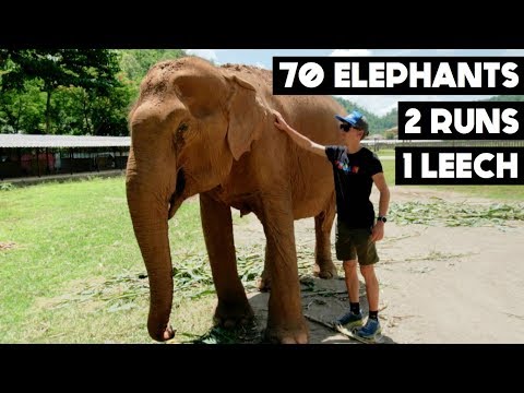 Training for Eiger Begins