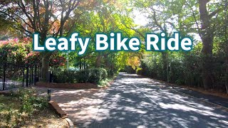 Virtual Bike Ride - Leafy Lanes In Central England - Scenery For Exercise Bike