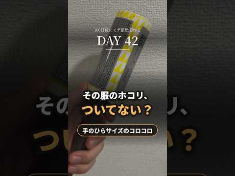 出かける前のホコリ取りに、99円のコロコロを玄関へ掛ける