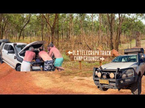 Carnage on the Tele Track