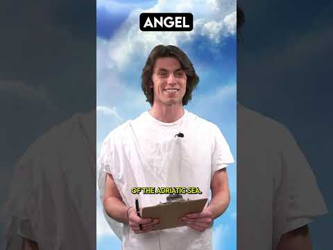 God Makes Dalmatians