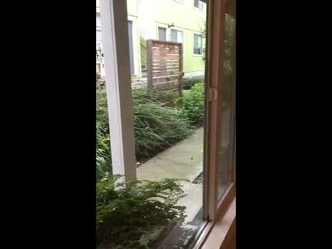 4041-4057 SE Gladstone - Video 6 of 6