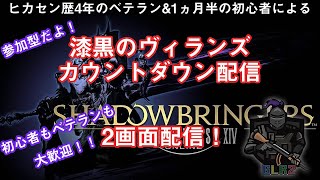 【FF14】萌えボ少女と行く！参加型！極青龍周回！【GLR2】