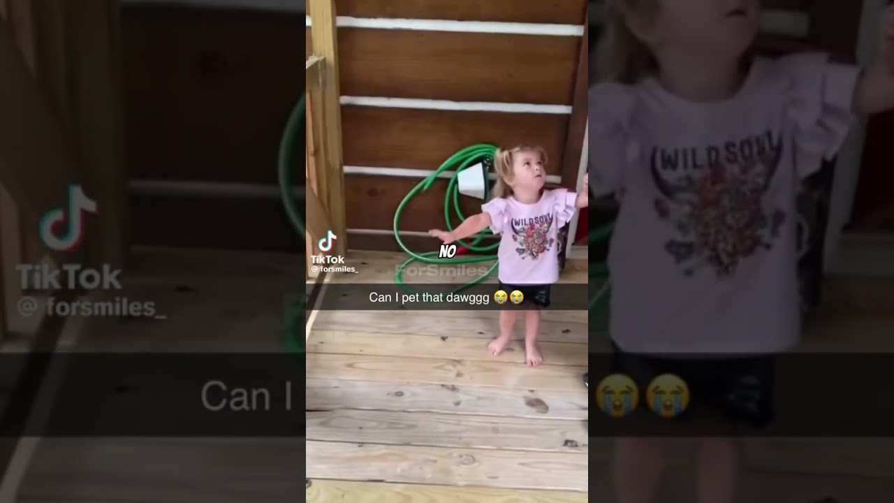 “Can I pet that dog” original video!