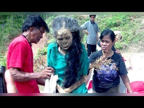 Download magsanay sa mawala timbang sa bahay para sa mga kalalakihan Koleksyon ng mga handa-made na herbs para sa pagbaba ng timbang