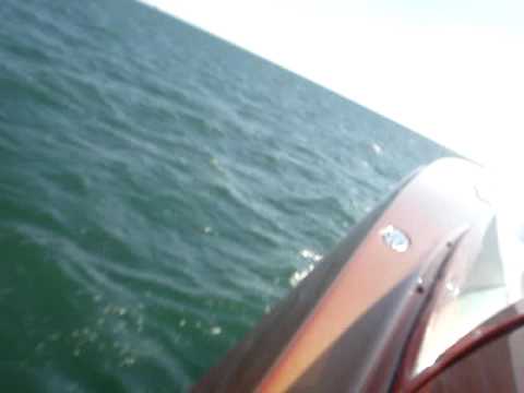 DONZI 38 ZR MIDDLE SPEED IN MIAMI