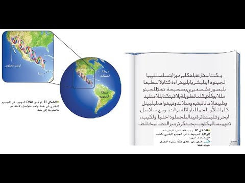 الجينوم البشري الجزء الأول بريدج