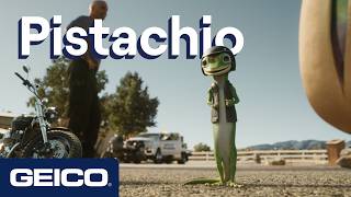 Geico Pistachio – 2026 – Motorcycle Insurance