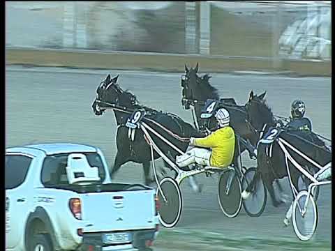 Trotto 03/12/2017 - 4ª corsa