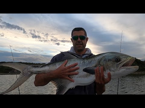 GIANT GARRICK! More RIVER MONSTERS in the Eastern Cape of South Africa. Light Tackle Estuary Fishing