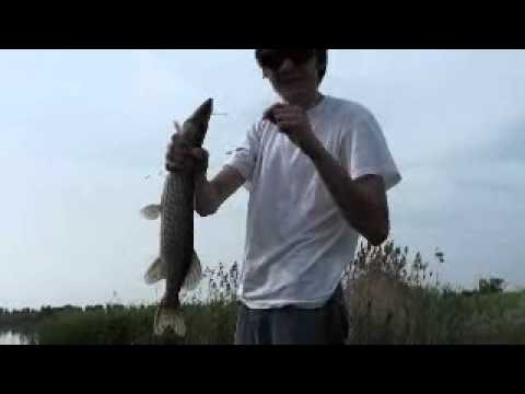 Kolejny szczupak MrWojciecho