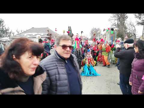 Ursul de la Blăgești, 2018-part 1