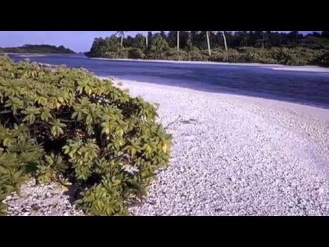 Les Pays    / Les Kiribati