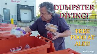 WOW FANTASTIC HAUL DUMPSTER DIVING AT ALDI !!!