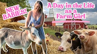 A Day in the Life - Farm Diaries Part 6🐴🐷🐑