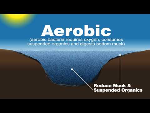 Airmax® EcoSystem™