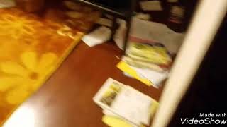 家に？？の箱が届いた【part2】