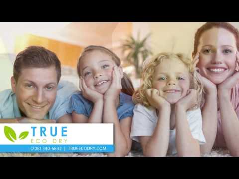 Upholstery or Carpet Cleaning from True Eco Dry (Up to 64% Off). Three Options Available. - Second Medium