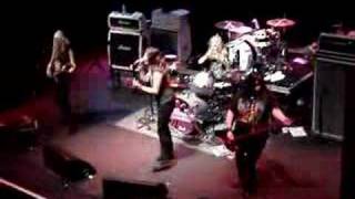 The Donnas Like an Animal