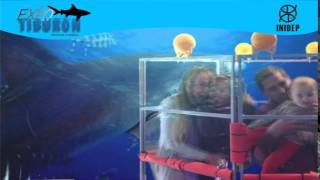 DIA 3 Expo Tiburon100