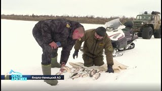 Рыбалка на спутник ямал