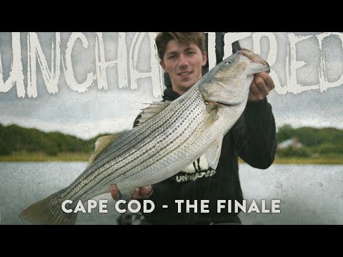 Unchartered: Cape Cod (Ep. 3 - Aww Shucks) Ft. Jon B., SBFishing, SeñorBassFishing
