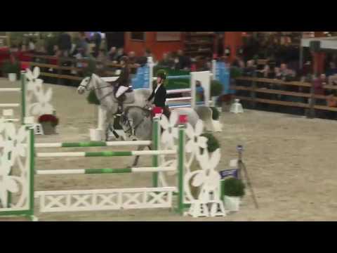 Foulon Z de Wulf Selection CSI J-YR 130 Mechelen 2017 3th Pl